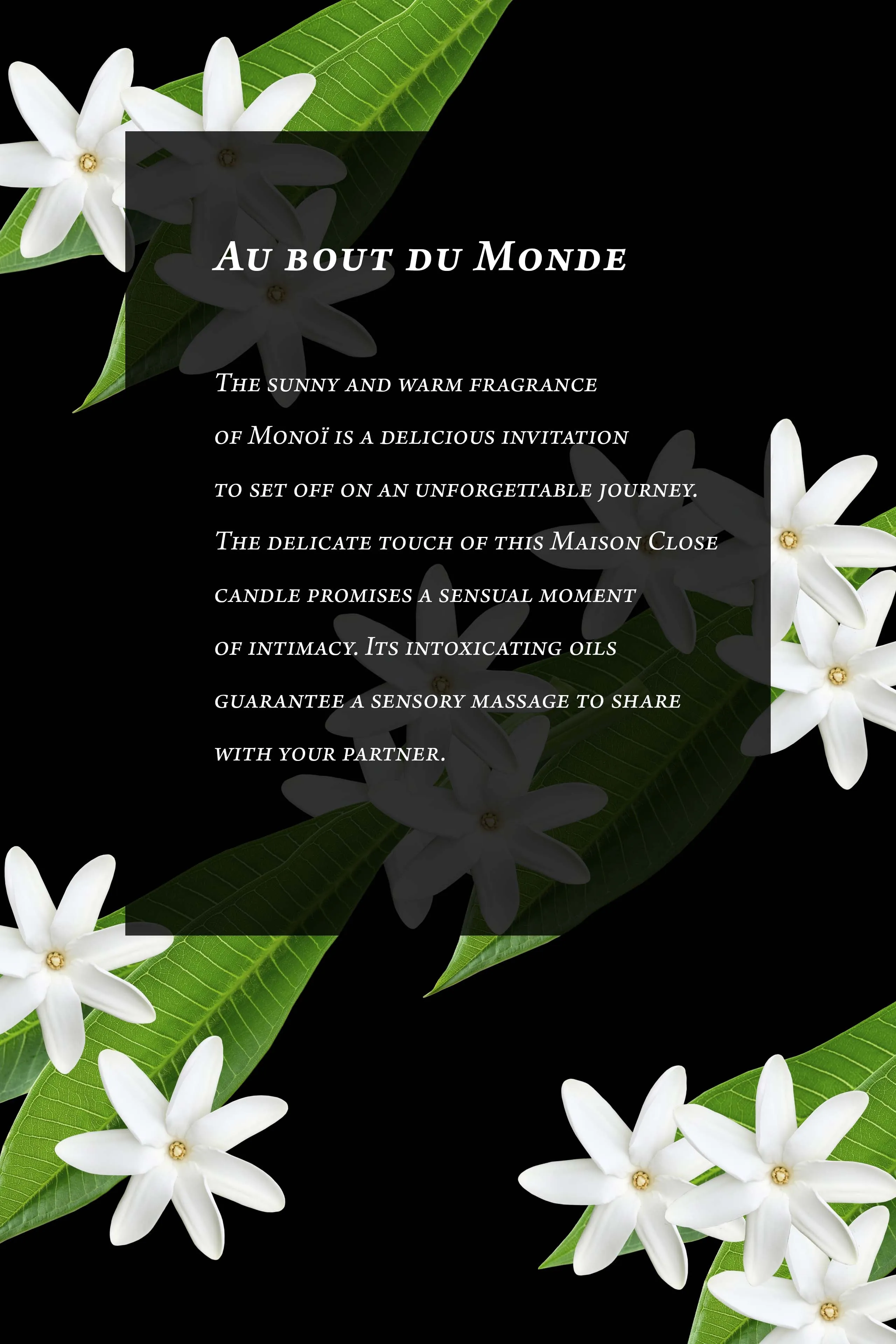 Massage Candle -  - Mono - Au Bout du Monde