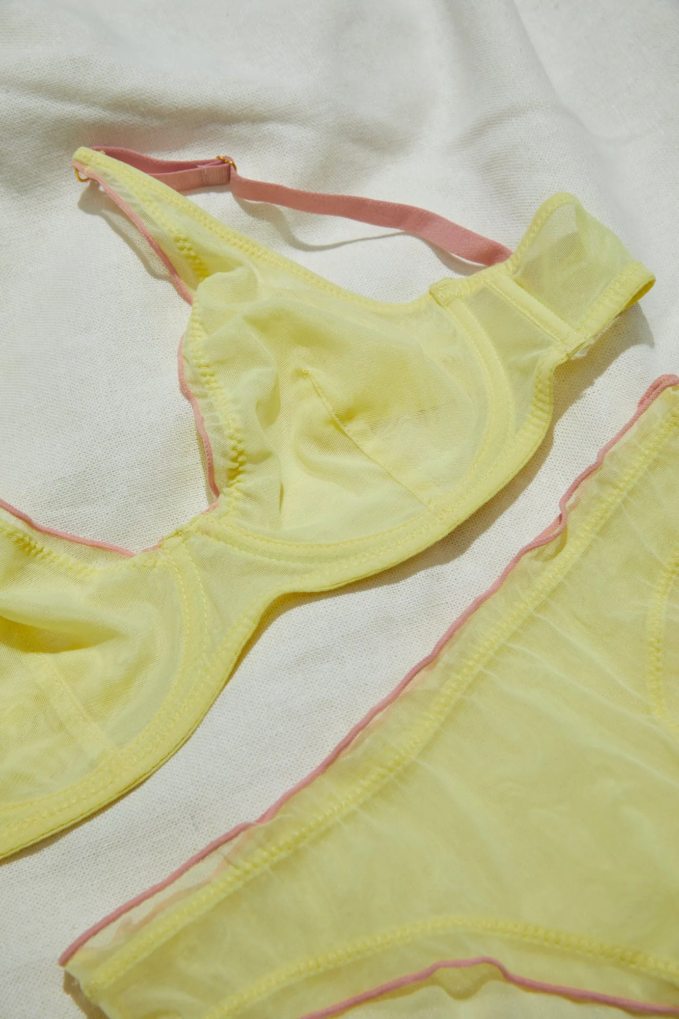 Sheer Lingerie with Plunge Bra
