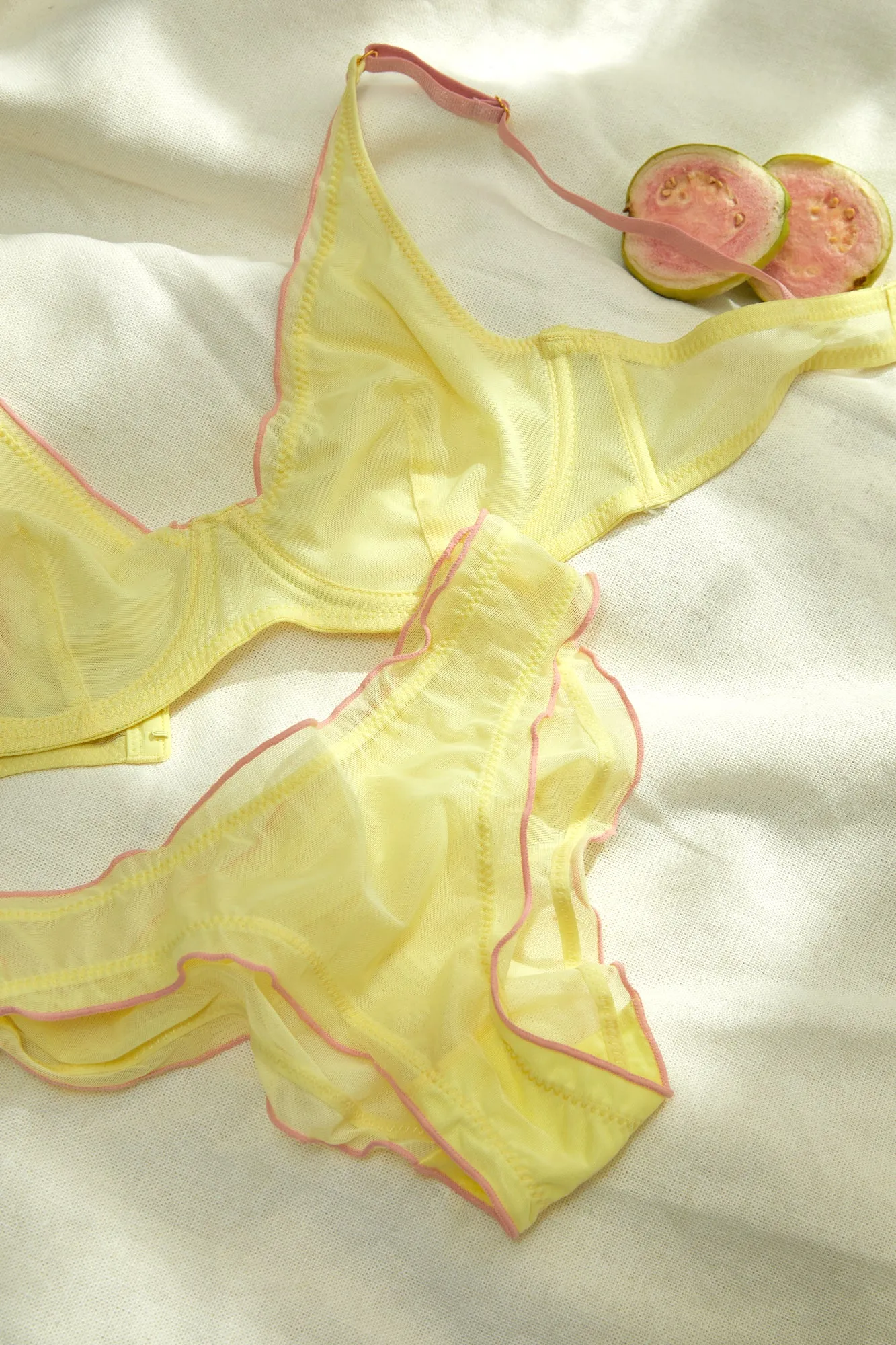 Sheer Lingerie with Plunge Bra